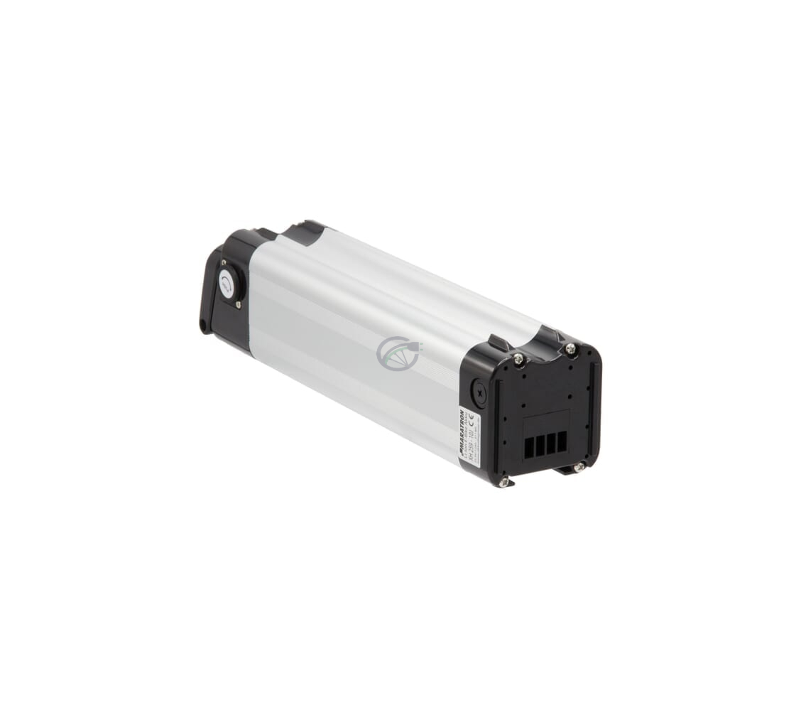 Phylion Akku XH259-10J 24V 13Ah Silverfish