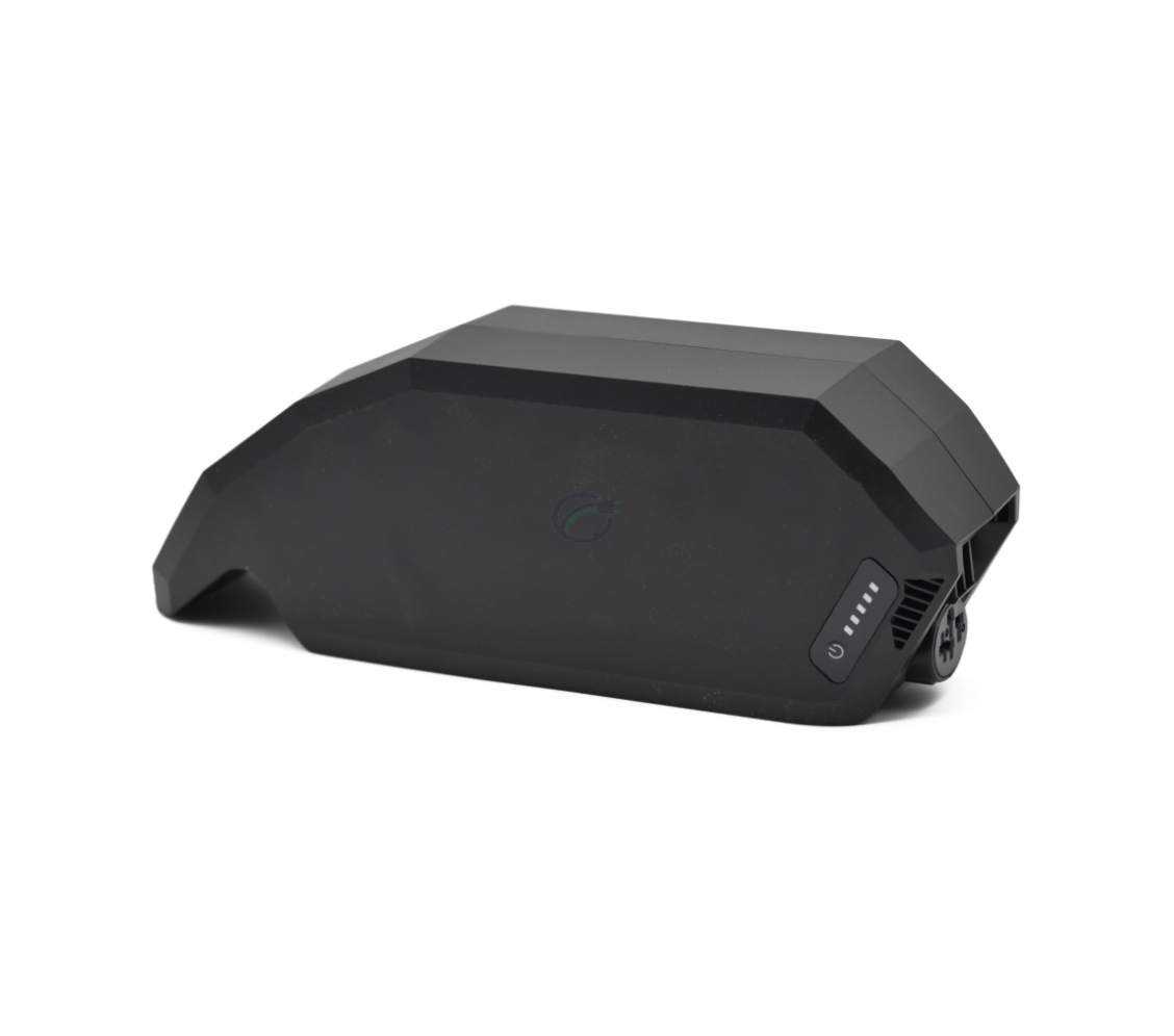 Seitenansicht des Bosch Powerpack 700 Active/Performance Rahmen E-Bike Vision Fahrradakkus.