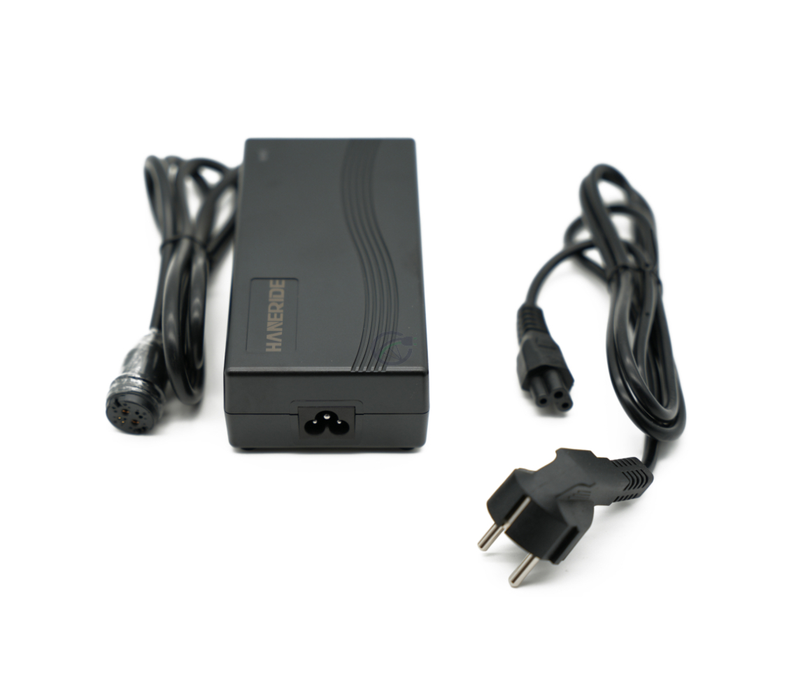 Vorderansicht des Gazelle Impulse 42V 3A Kompatiblen Ladegeräts mit Rosenberger Anschluss aus einer höheren Perspektive. Der Adapter liegt neben dem Ladegerät.