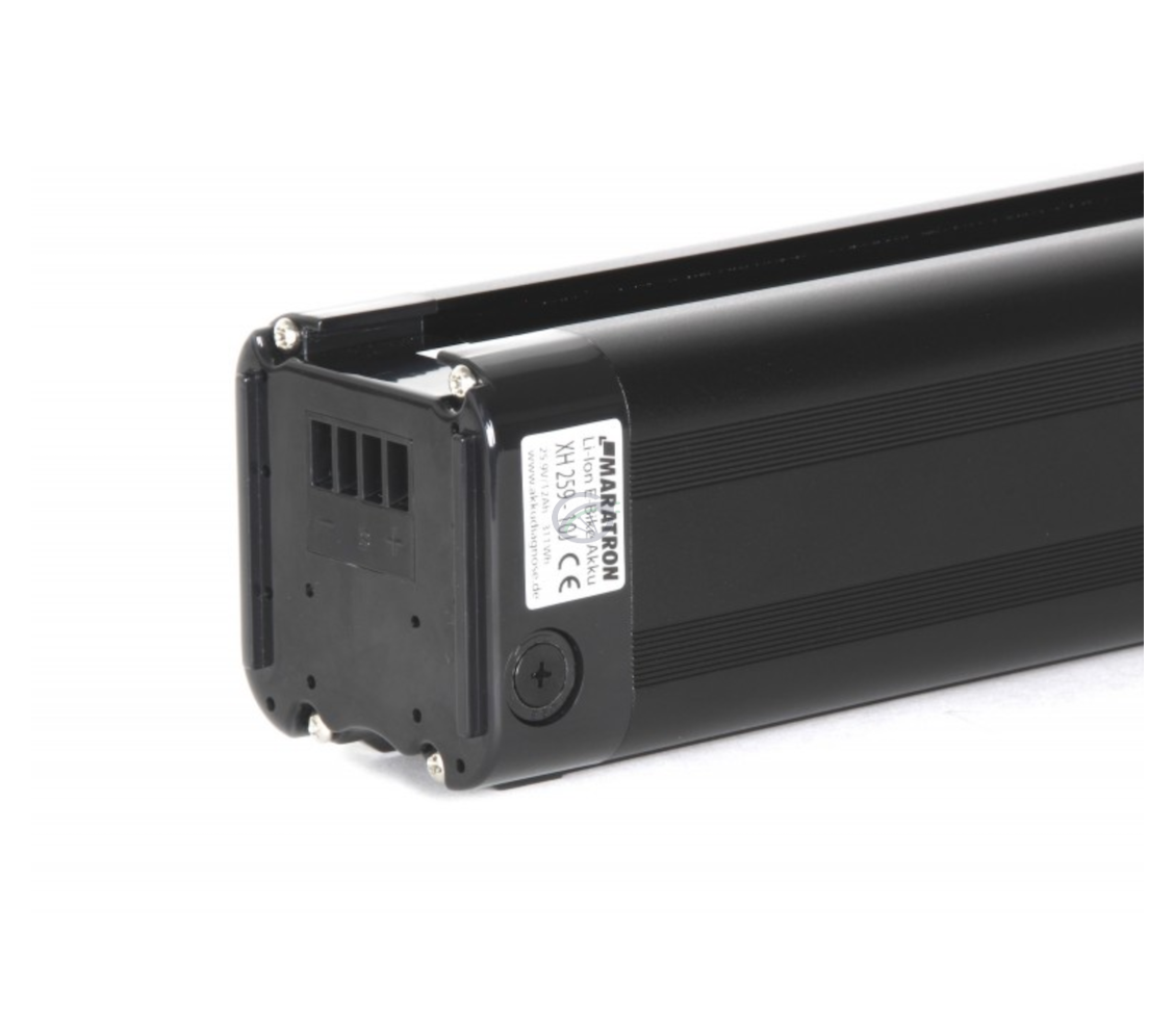 Phylion Akku XH259-10J 24V 12Ah Silverfish Ersatz (Schwarz)