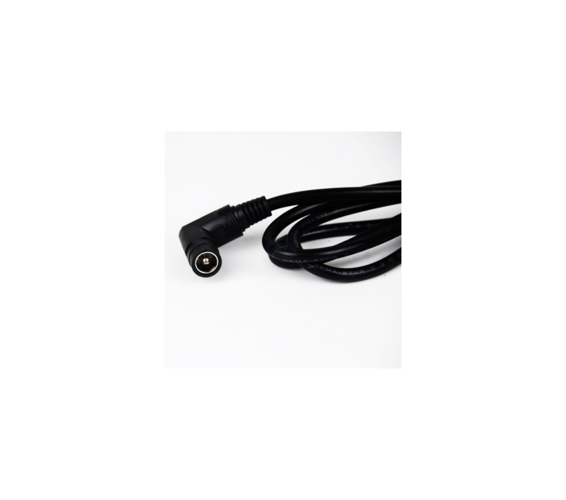 Phylion Ladegerät 42V 2A (2-polig Cinch-Stecker) 